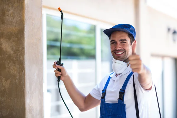 Rosenberg Wasp Removal