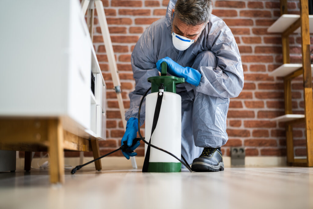 Rosenberg Spider Control
