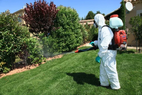 Rosenberg Mosquito Control