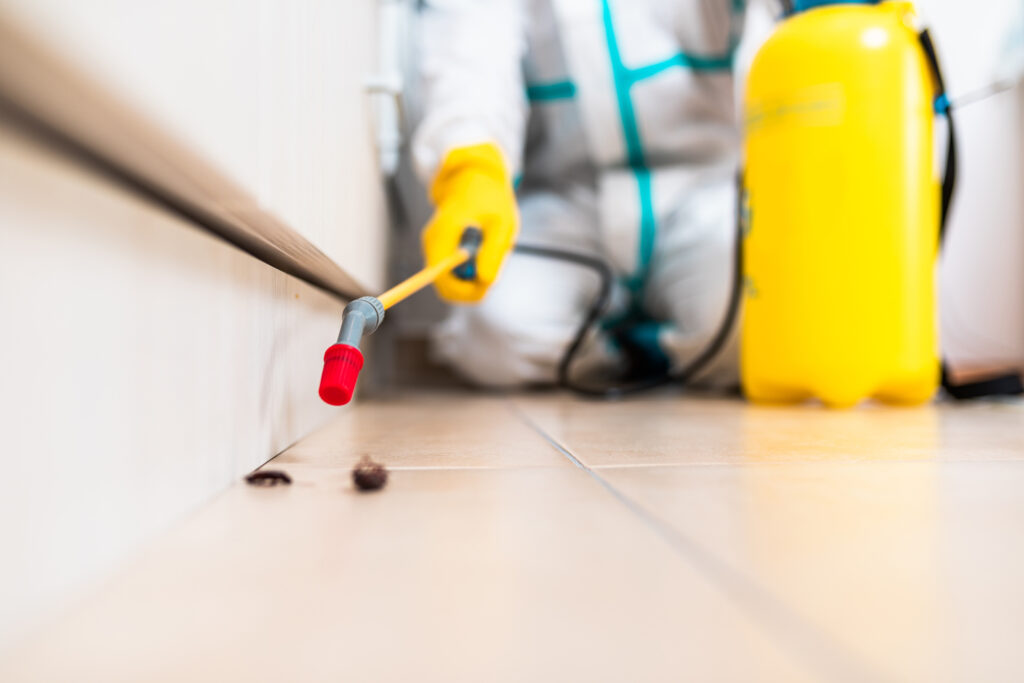 Rosenberg Cockroach Experts