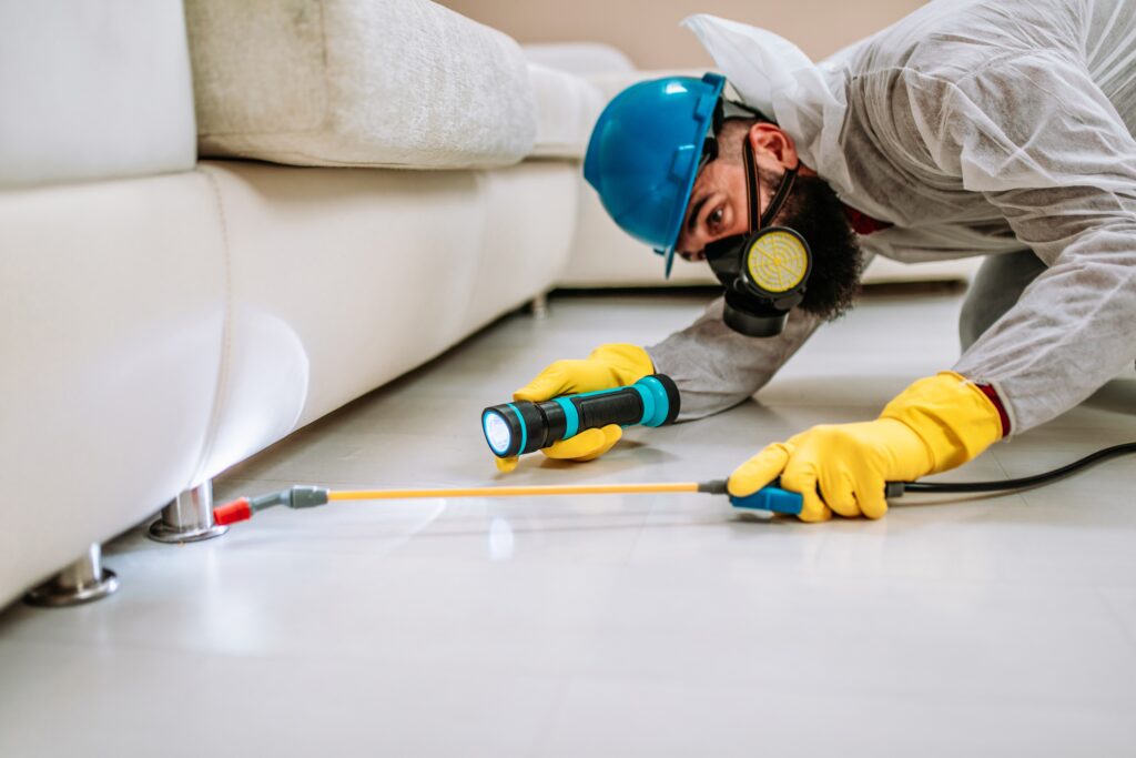 Rosenberg Termite Control