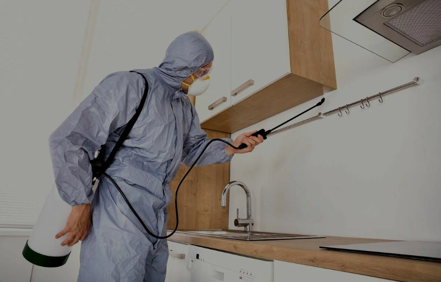Rosenberg pest managment