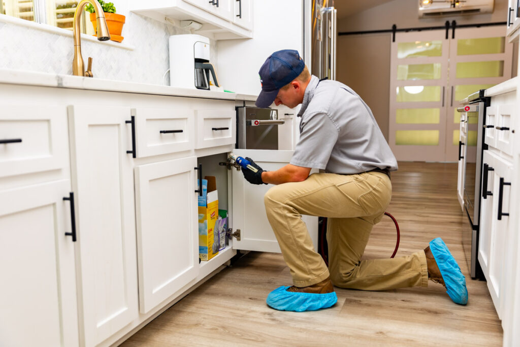Rosenberg xpert pest management